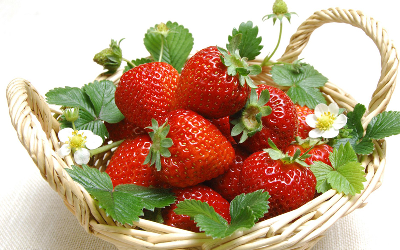 挑選水果小竅門最全攻略,這些您都知道嗎 挑選水果小竅門最全攻略,這些您都知道嗎